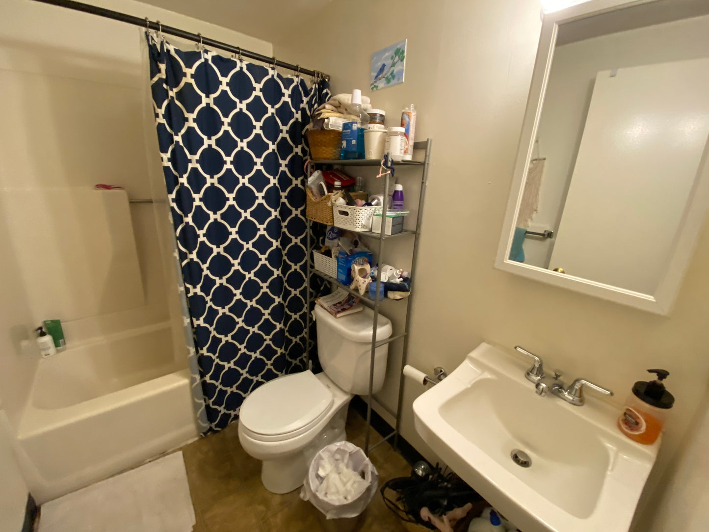 $2,350 / 446ft2 - ➽Vibrant Andrew Square Studio Loft w/No Fee! Available 9/1! (Andrew Square)