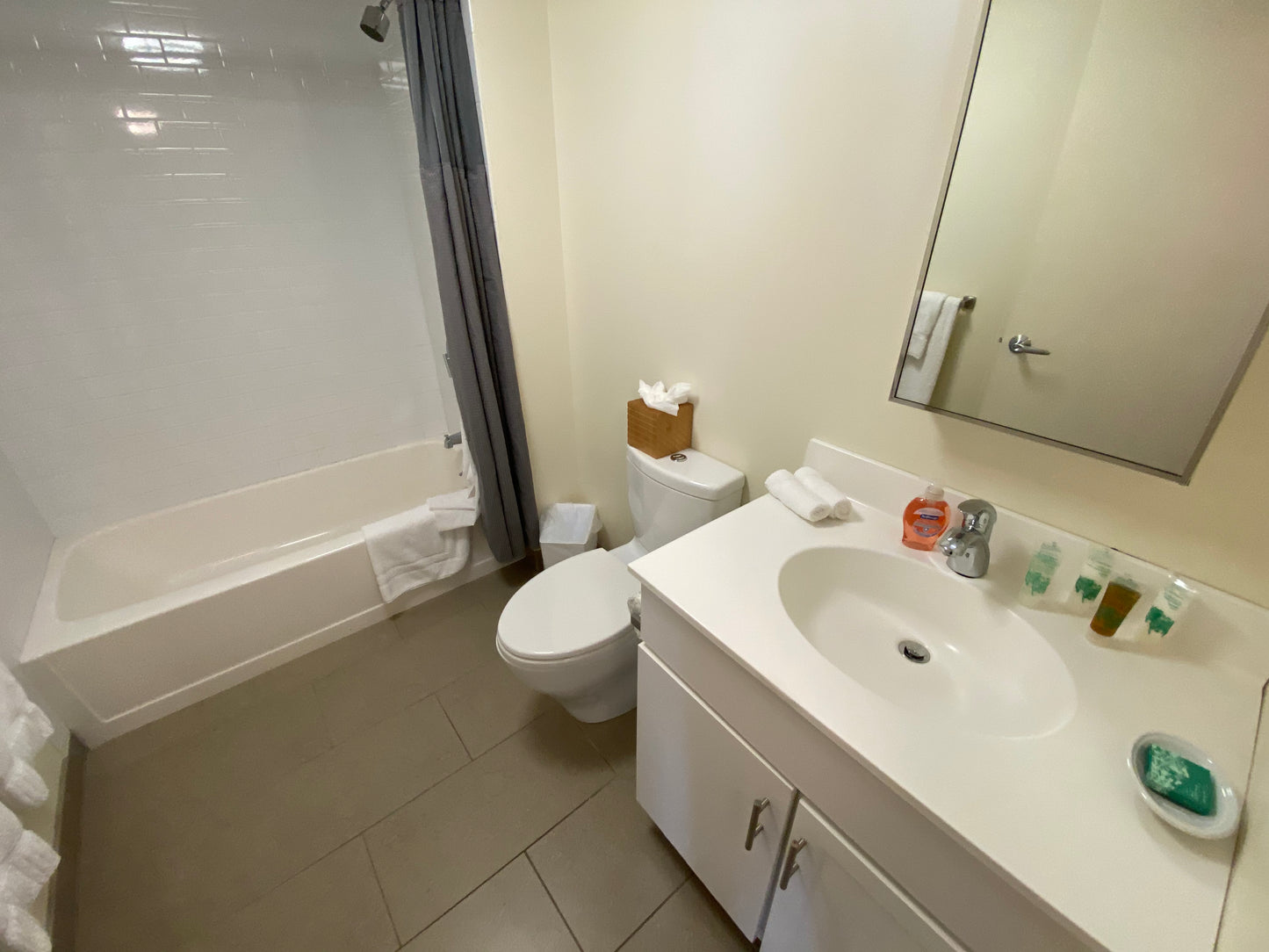 $3,300 / 1br - 603ft2 - ➽Deluxe Midtown 1 Bedroom Available September! Pet-Friendly! (Midtown)