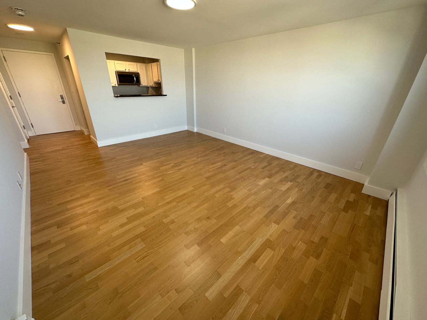 APPLICATION PENDING $2,850 / 1br - 570ft2 - ➽Airy South Boston 1 Bedroom Available August! Pet-Friendly! (South Boston)