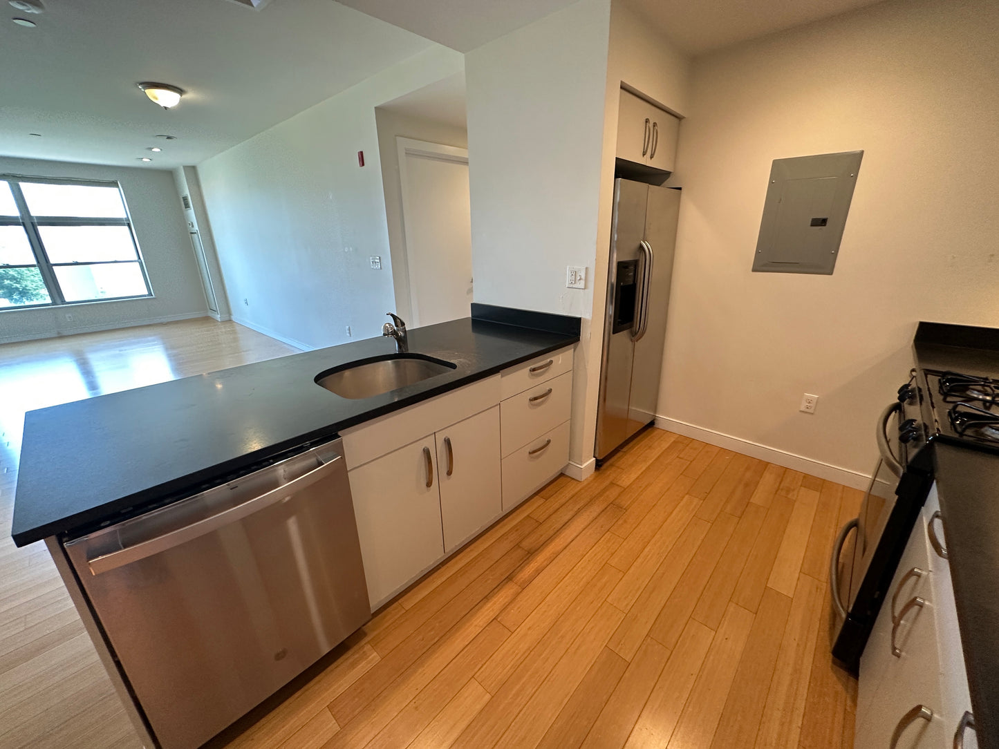 RENTED/OFF MARKET $4,200 / 2br - 1156ft2 - ➽Elegant South End 2 Bedroom 2 Bathroom Available September! (South End)