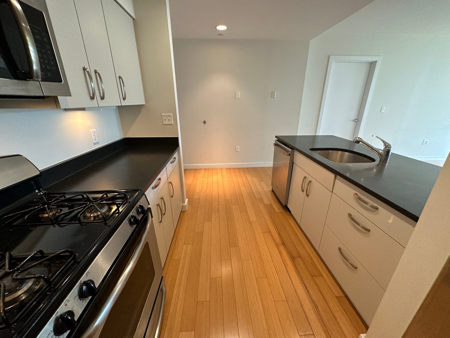 RENTED/OFF MARKET $4,200 / 2br - 1156ft2 - ➽Elegant South End 2 Bedroom 2 Bathroom Available September! (South End)