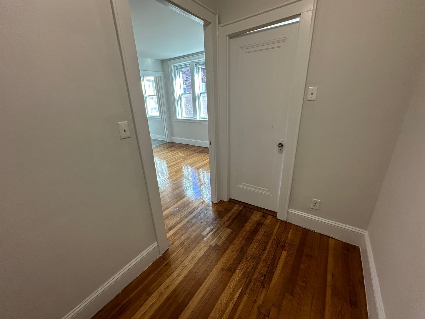 $2,110 / 405ft2 - ➽Lovely Somerville Studio Available Now! No Fee! (Winter Hill)