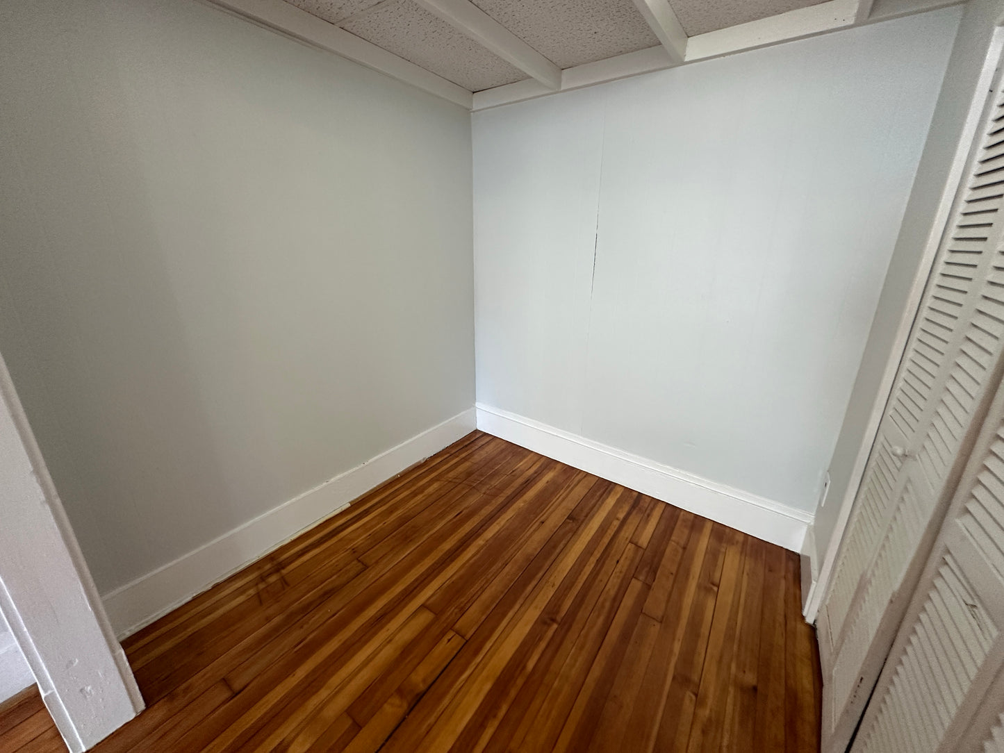 $2,450 / 363ft2 - ➼Vibrant Beacon Hill 2 Room Studio w/No Fee! Available Now! (Beacon Hill)