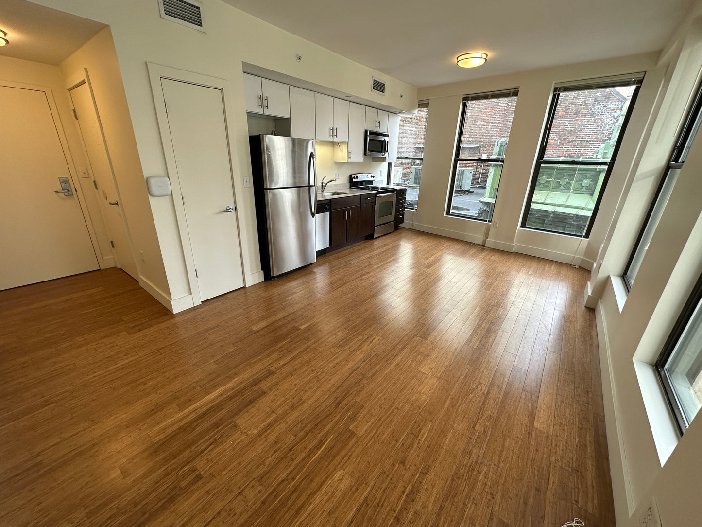 $3,300 / 1br - 527ft2 - ➽Bold Midtown Boston 1 Bedroom Available September! Pet-Friendly! (Midtown)