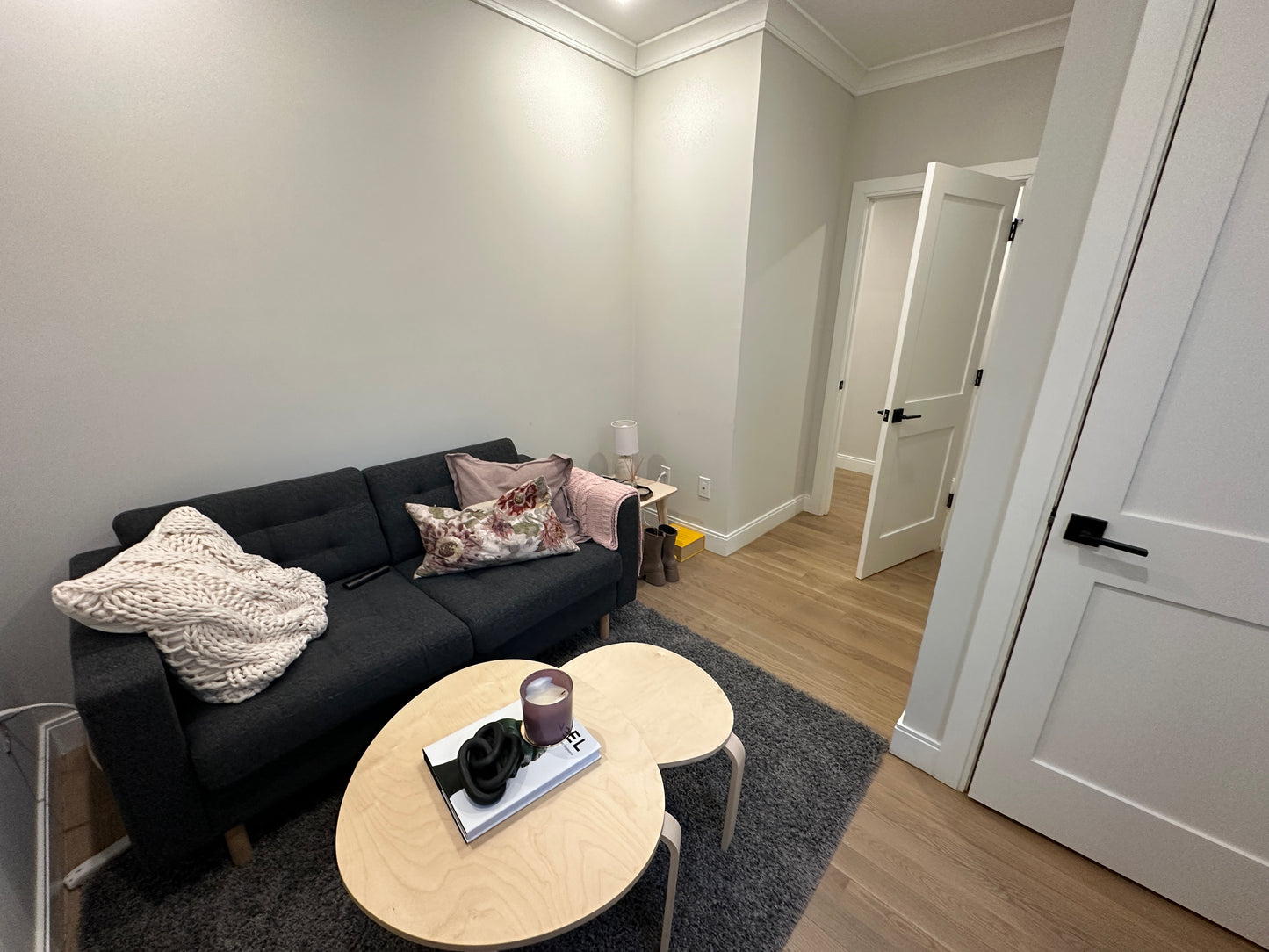 APPLICATION PENDING $2,500 / 1br - 675ft2 - ➽Bold Brighton 1.5 Bedroom Available Now! Pet OK! No Fee! (Brighton)