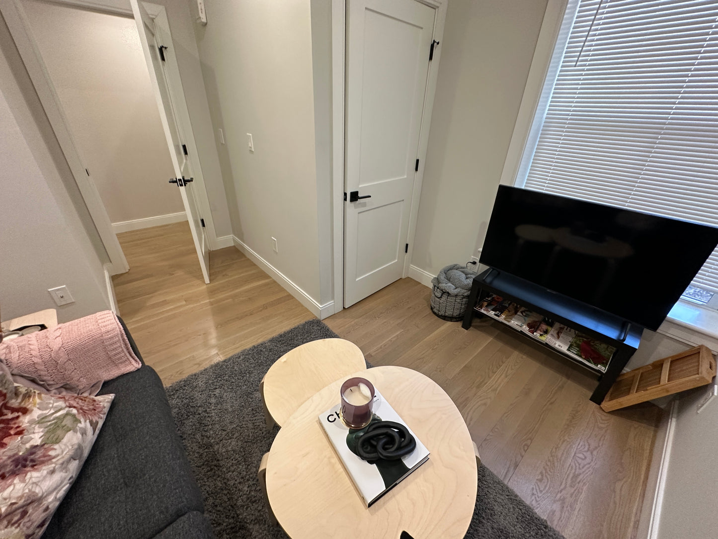 APPLICATION PENDING $2,500 / 1br - 675ft2 - ➽Bold Brighton 1.5 Bedroom Available Now! Pet OK! No Fee! (Brighton)