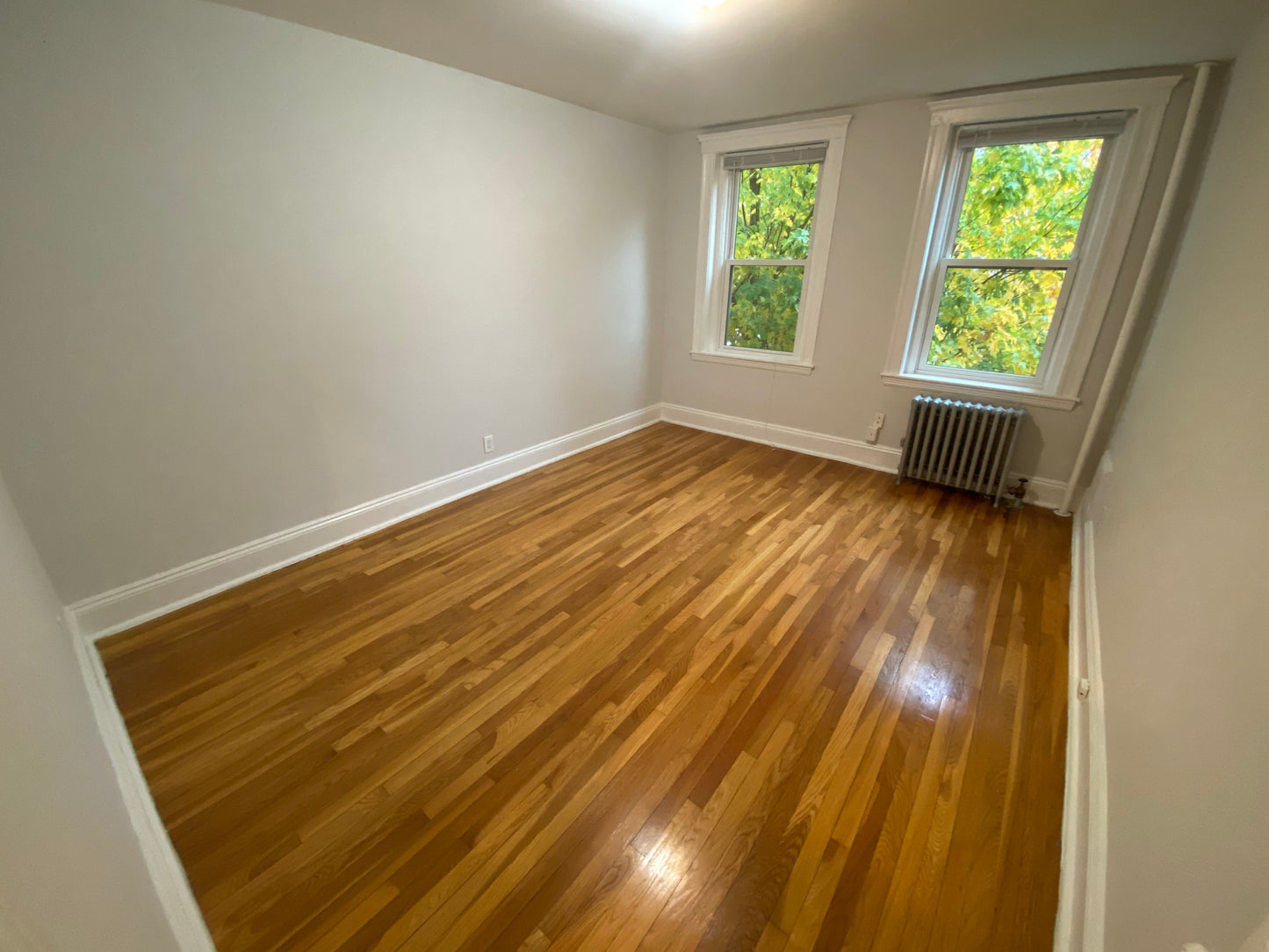 $2,500 / 1br - 585ft2 - ➽Charming Brighton 1 Bedroom Available May! Pet-Friendly! (Brighton)