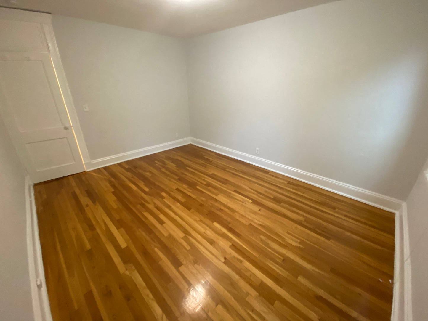 $2,500 / 1br - 585ft2 - ➽Charming Brighton 1 Bedroom Available May! Pet-Friendly! (Brighton)