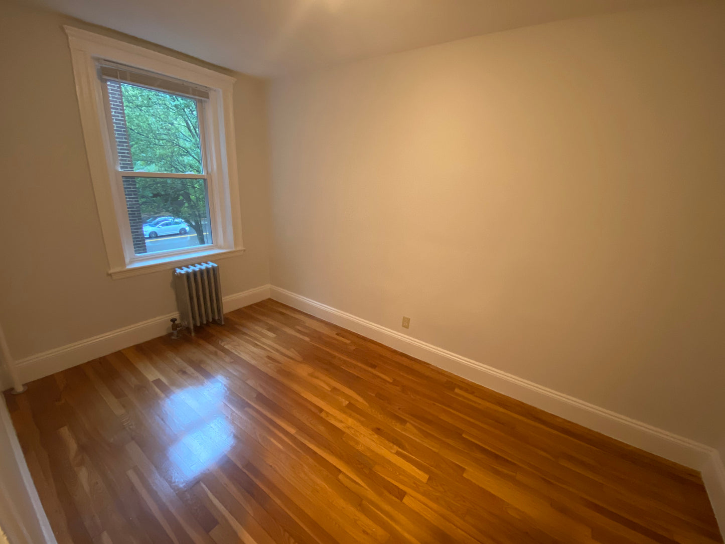 $2,500 / 1br - 585ft2 - ➽Charming Brighton 1 Bedroom Available May! Pet-Friendly! (Brighton)