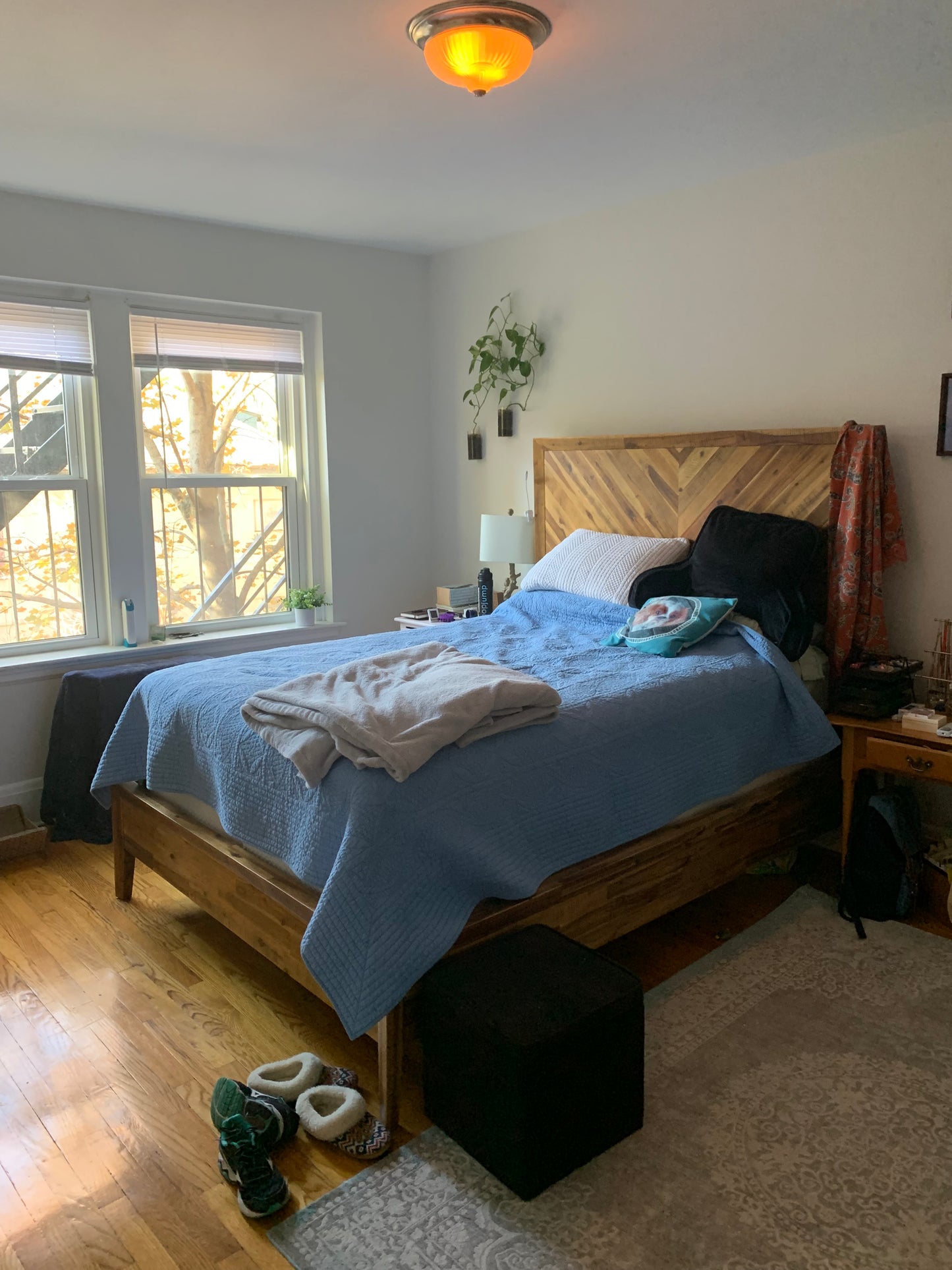 APPLICATION PENDING $2,550 / 1br - 690ft2 - ➽Cozy Somerville 1 Bedroom Available February! No Fee! (Winter Hill)