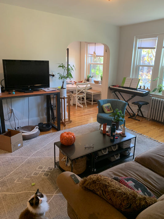 APPLICATION PENDING $2,550 / 1br - 690ft2 - ➽Cozy Somerville 1 Bedroom Available February! No Fee! (Winter Hill)