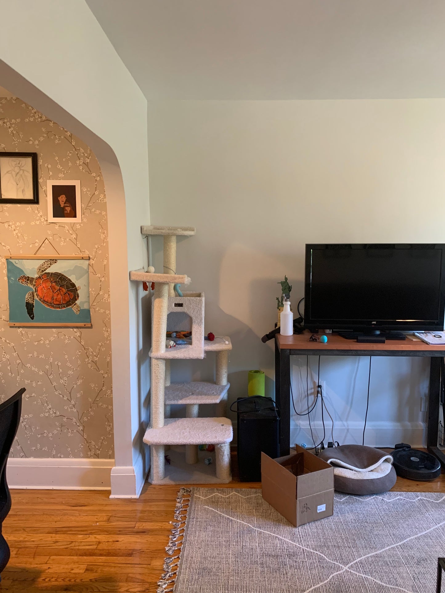 APPLICATION PENDING $2,550 / 1br - 690ft2 - ➽Cozy Somerville 1 Bedroom Available February! No Fee! (Winter Hill)