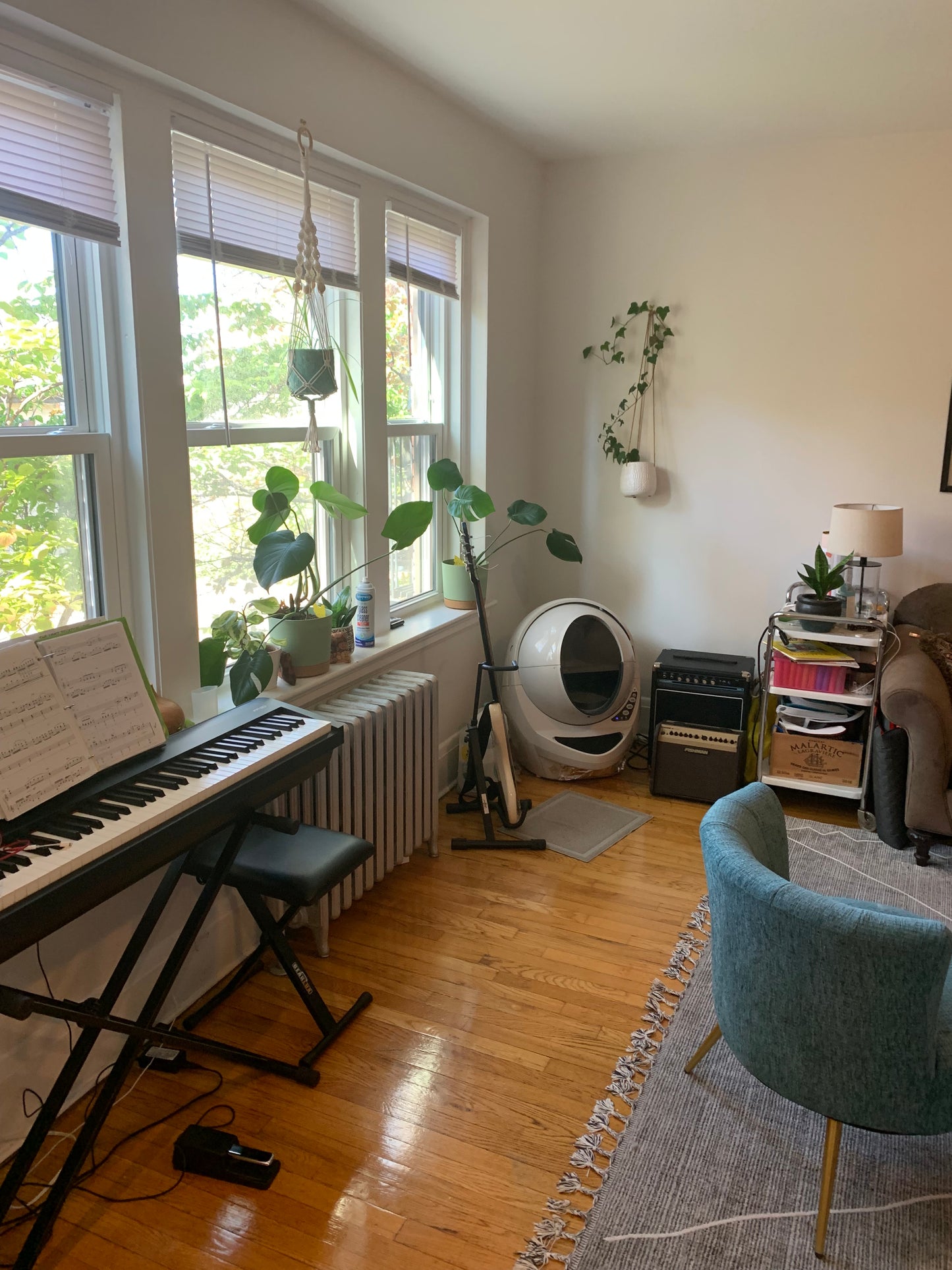 APPLICATION PENDING $2,550 / 1br - 690ft2 - ➽Cozy Somerville 1 Bedroom Available February! No Fee! (Winter Hill)