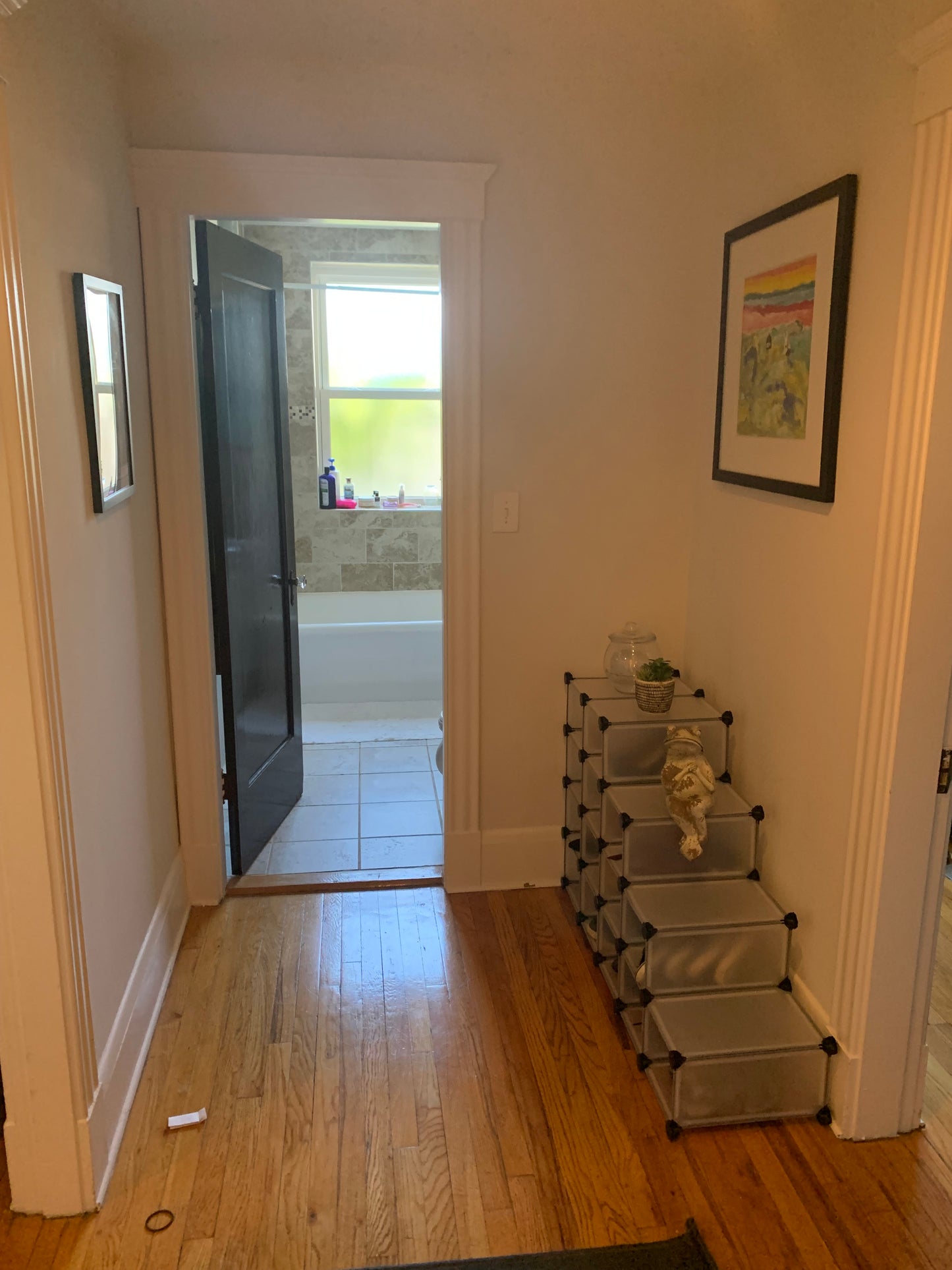 APPLICATION PENDING $2,550 / 1br - 690ft2 - ➽Cozy Somerville 1 Bedroom Available February! No Fee! (Winter Hill)