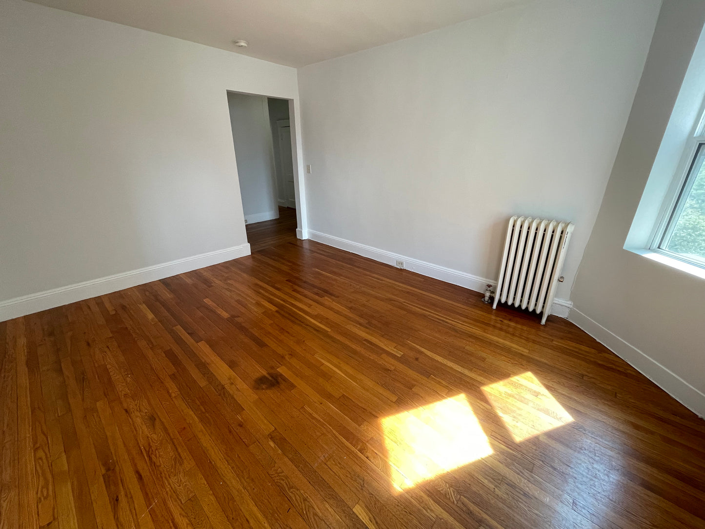 $2,950 / 1br - 592ft2 - ➽Fantastic South End 1 Bedroom Available June! (Mission Hill)