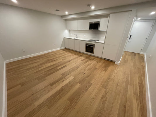 $2,385 / 460ft2 - ➽Cozy Brand New North End Studio Available Now! No Fee! (North End)