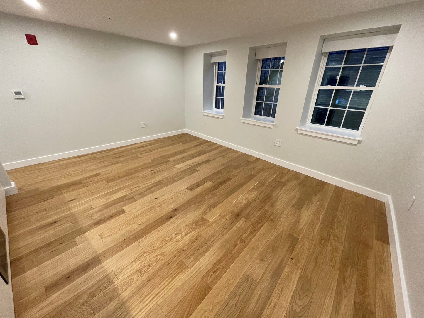 $2,385 / 460ft2 - ➽Cozy Brand New North End Studio Available Now! No Fee! (North End)