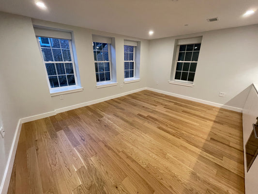 APPLICATION PENDING $2,365 / 460ft2 - ➽Charming Brand New North End Studio Available Now! (North End)