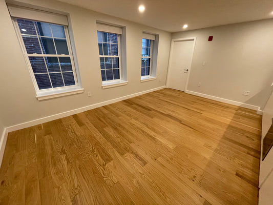 $3,200 / 1br - 660ft2 - ➽Deluxe Modern North End 1 Bedroom Available February! No Fee! (North End)