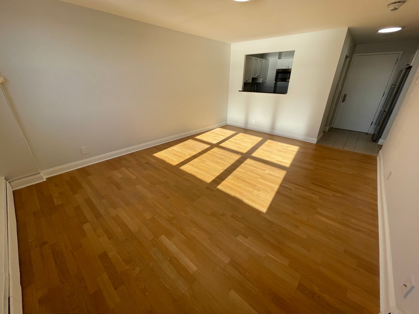 $3,625 / 2br - 776ft2 - ➽Lovely South Boston Waterview 2 Bedroom Available July! Pet-Friendly! (South Boston)