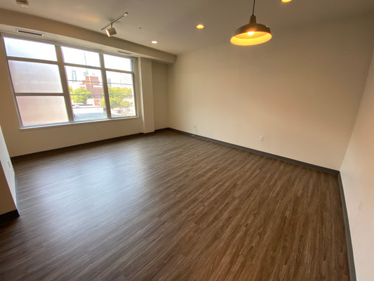 $4,100 / 2br - 900ft2 - ➽Chic South End 2 Bedroom Duplex Available July! Pet-Friendly! No Fee! (South End)