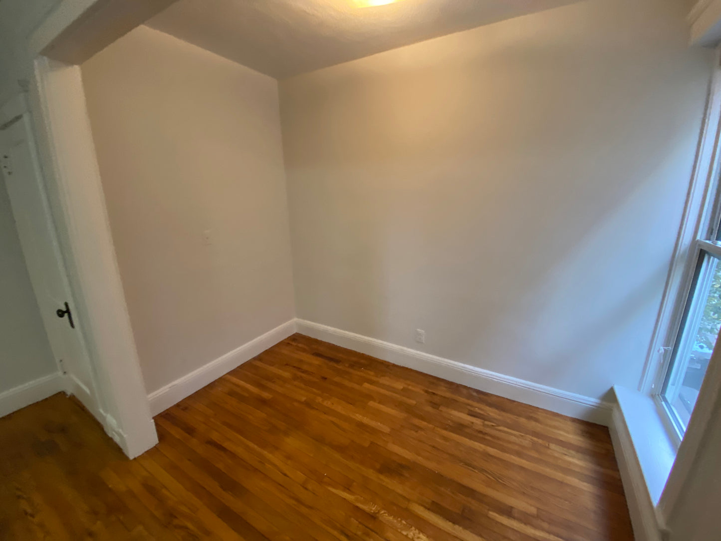 $2,450 / 423ft2 - ➽Vibrant Mission Hill Studio Available February! No Fee! (Mission Hill)