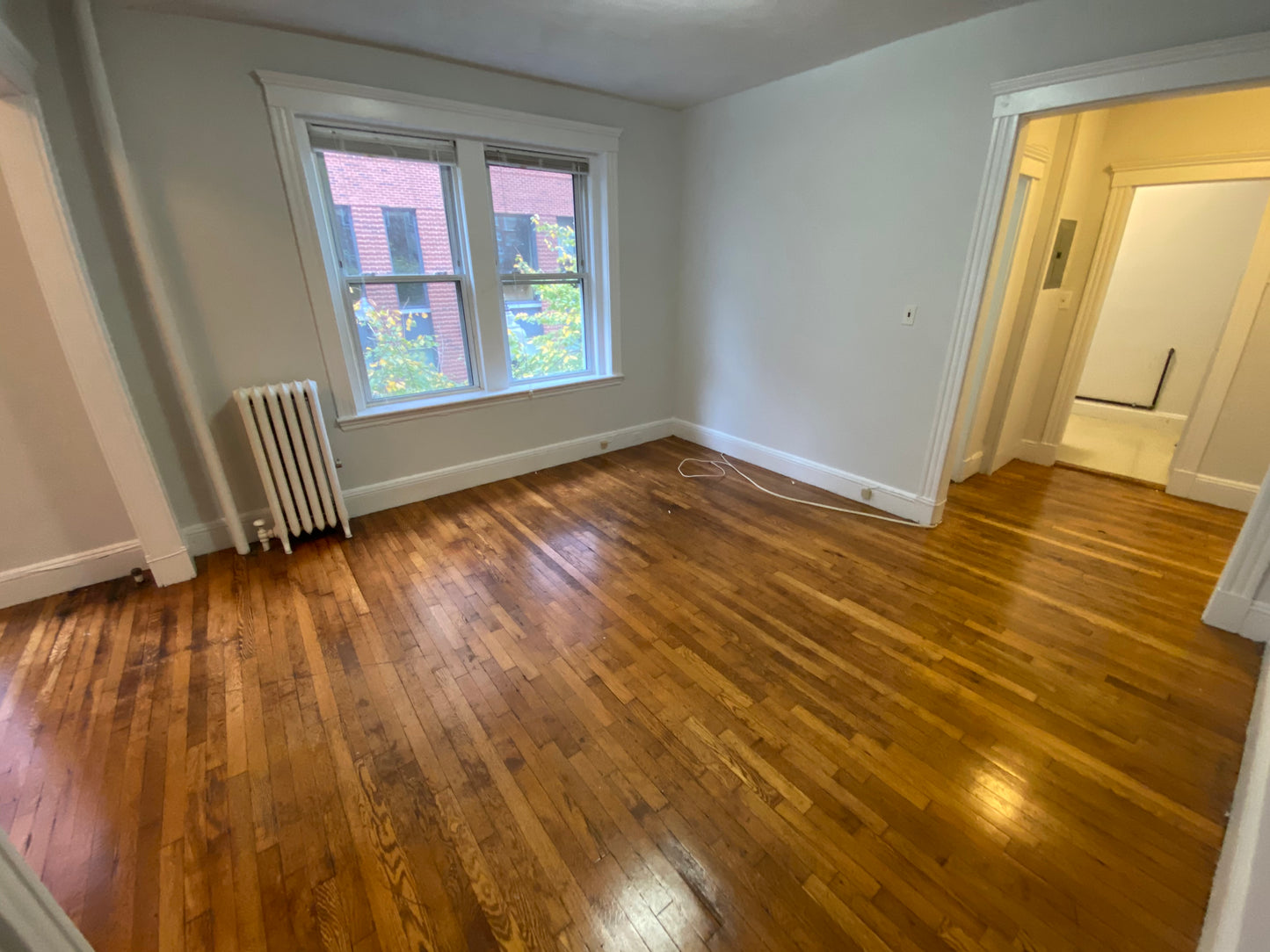 $2,450 / 423ft2 - ➽Vibrant Mission Hill Studio Available February! No Fee! (Mission Hill)