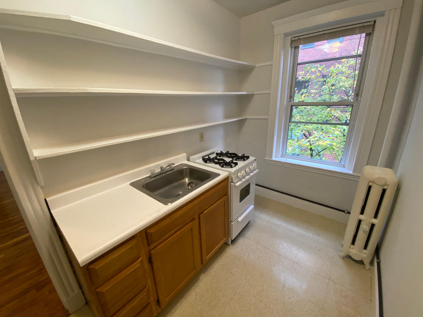 $2,450 / 423ft2 - ➽Vibrant Mission Hill Studio Available February! No Fee! (Mission Hill)