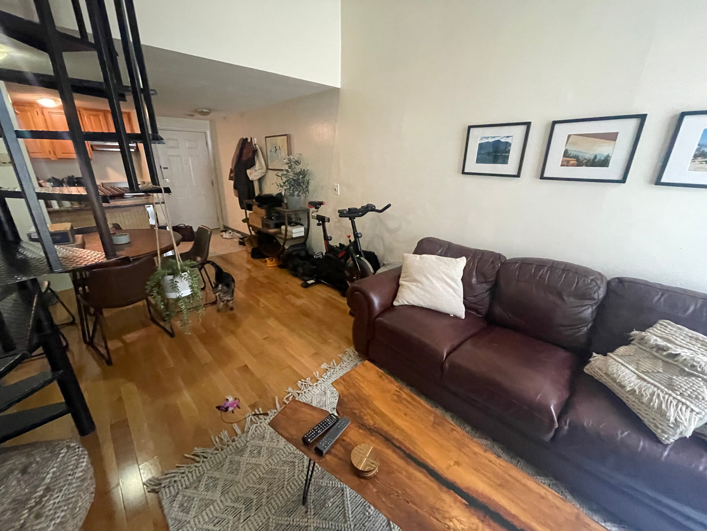 $2,350 / 490ft2 - ➽Airy Andrew Square Studio Loft w/No Fee! (Andrew Square)