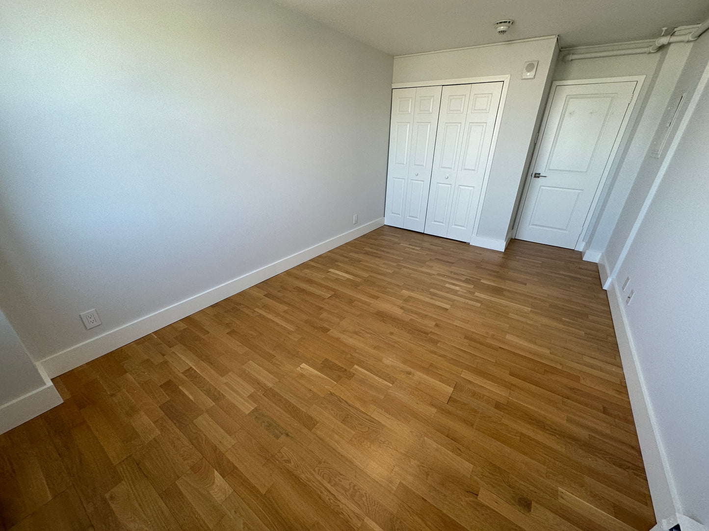 APPLICATION PENDING $2,850 / 1br - 570ft2 - ➽Airy South Boston 1 Bedroom Available August! Pet-Friendly! (South Boston)