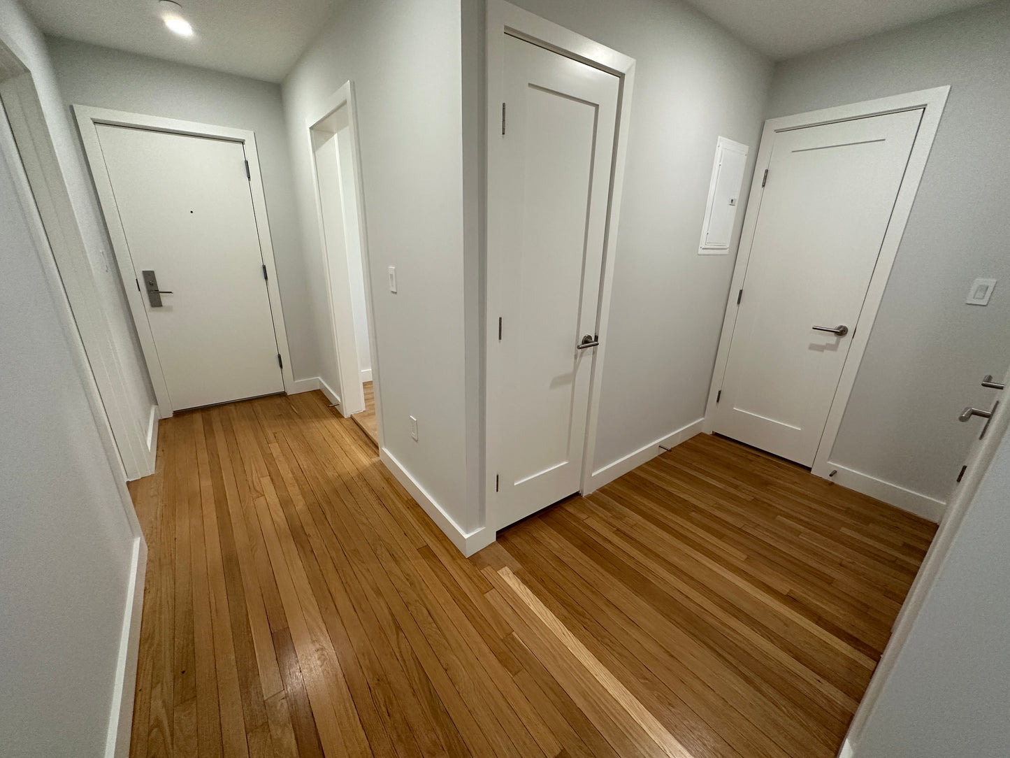 $3,300 / 2br - 870ft2 - ➽Chic Cambridge 2 Bedroom Available October! No Fee! (Agassiz)