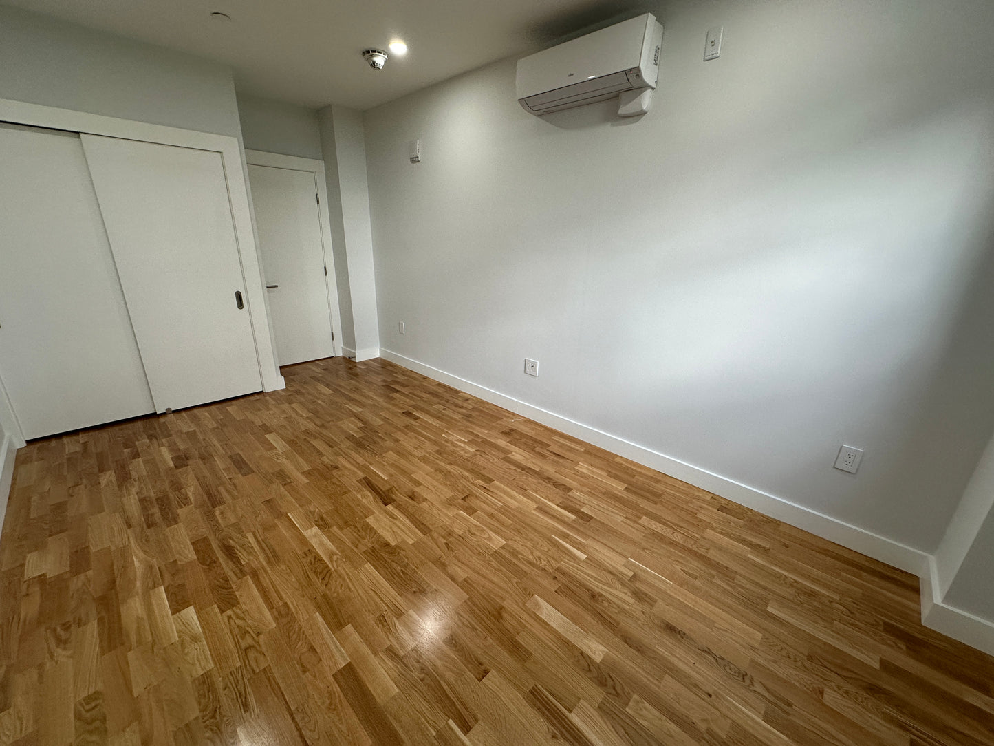 $3,400 / 2br - 797ft2 - ➽Cozy South Boston 2 Bedroom w/In Unit W/D! Pet-Friendly! (South Boston)