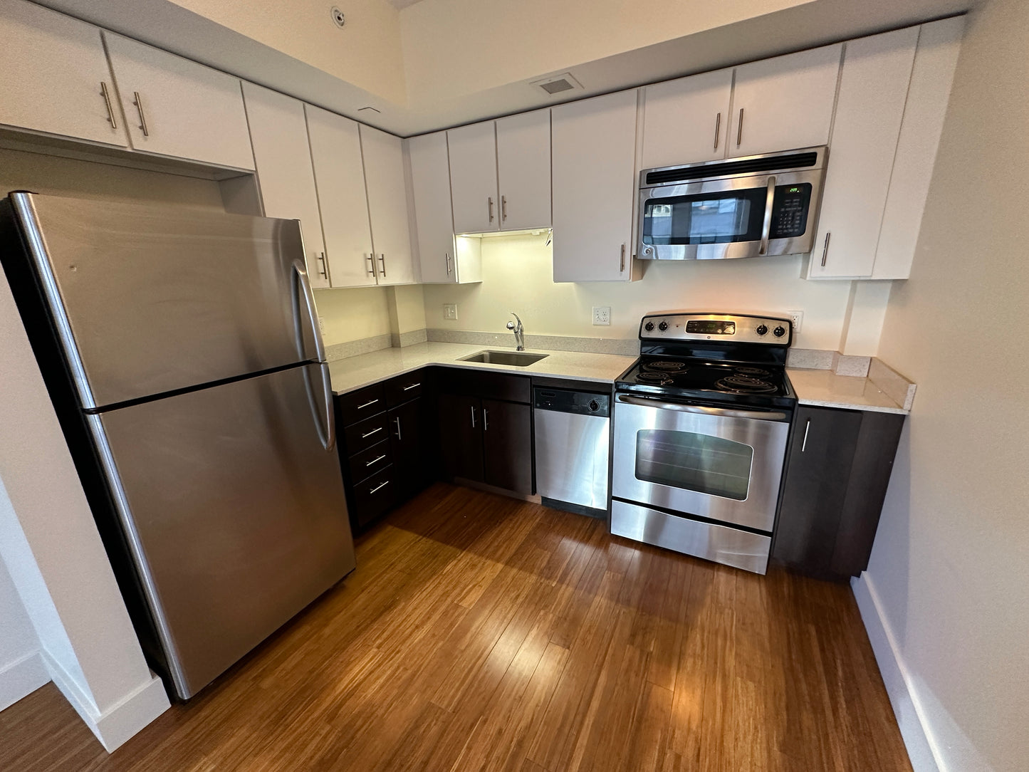 $2,600 / 364ft2 - ➽Dashing Midtown Studio Available Now! Pet-Friendly! (Midtown)