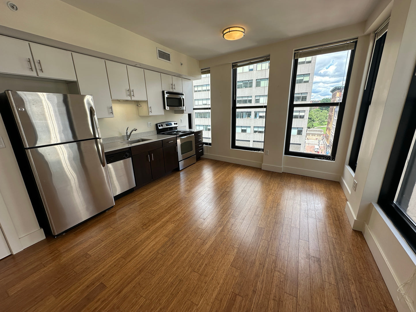 $3,400 / 1br - 527ft2 - ➽Tranquil Midtown 1 Bedroom Available July! Pet-Friendly! (Midtown)