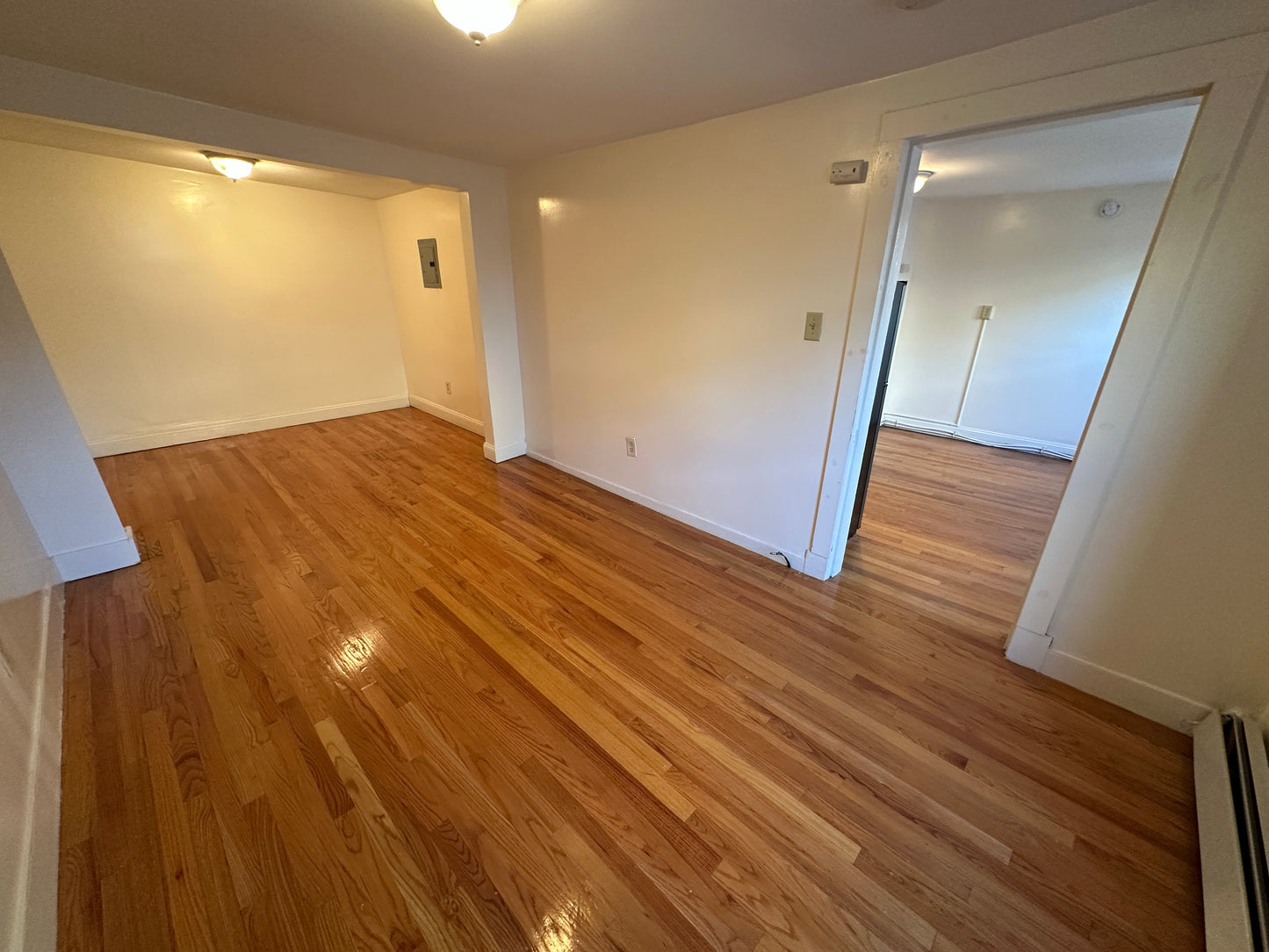 $2,450 / 363ft2 - ➼Charming Beacon Hill 2 Room Studio w/No Fee! Available Now! (Beacon Hill)