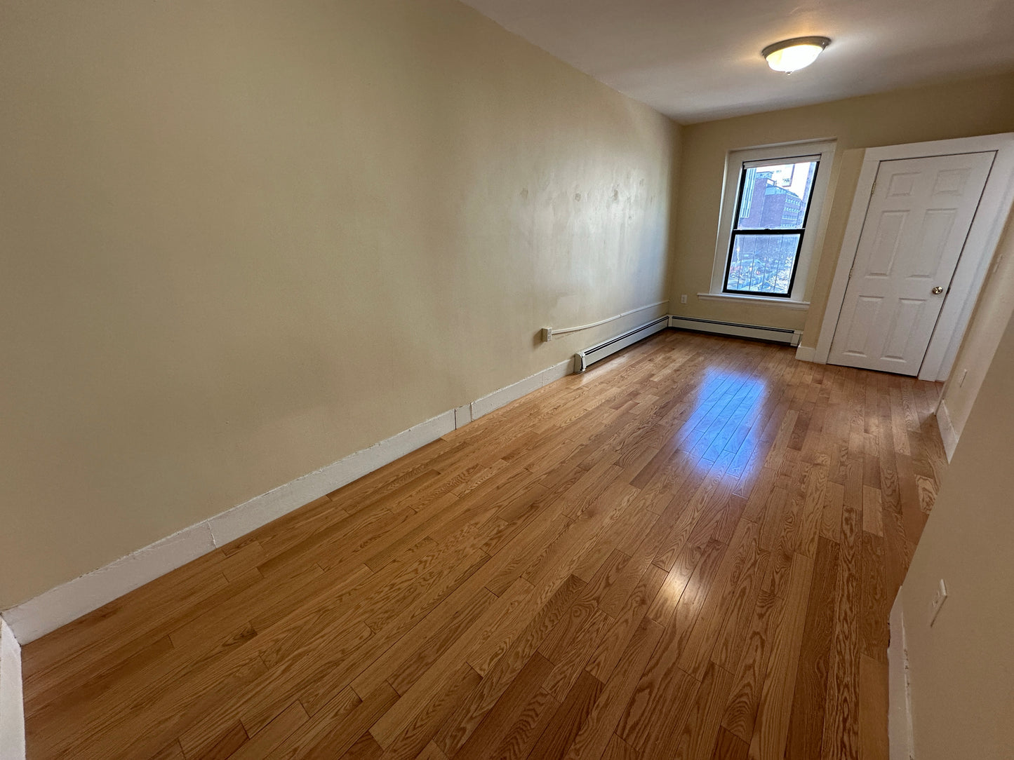 $2,450 / 379ft2 - ➼Bright Beacon Hill 2 Room Studio w/No Fee! Available Now! (Beacon Hill)