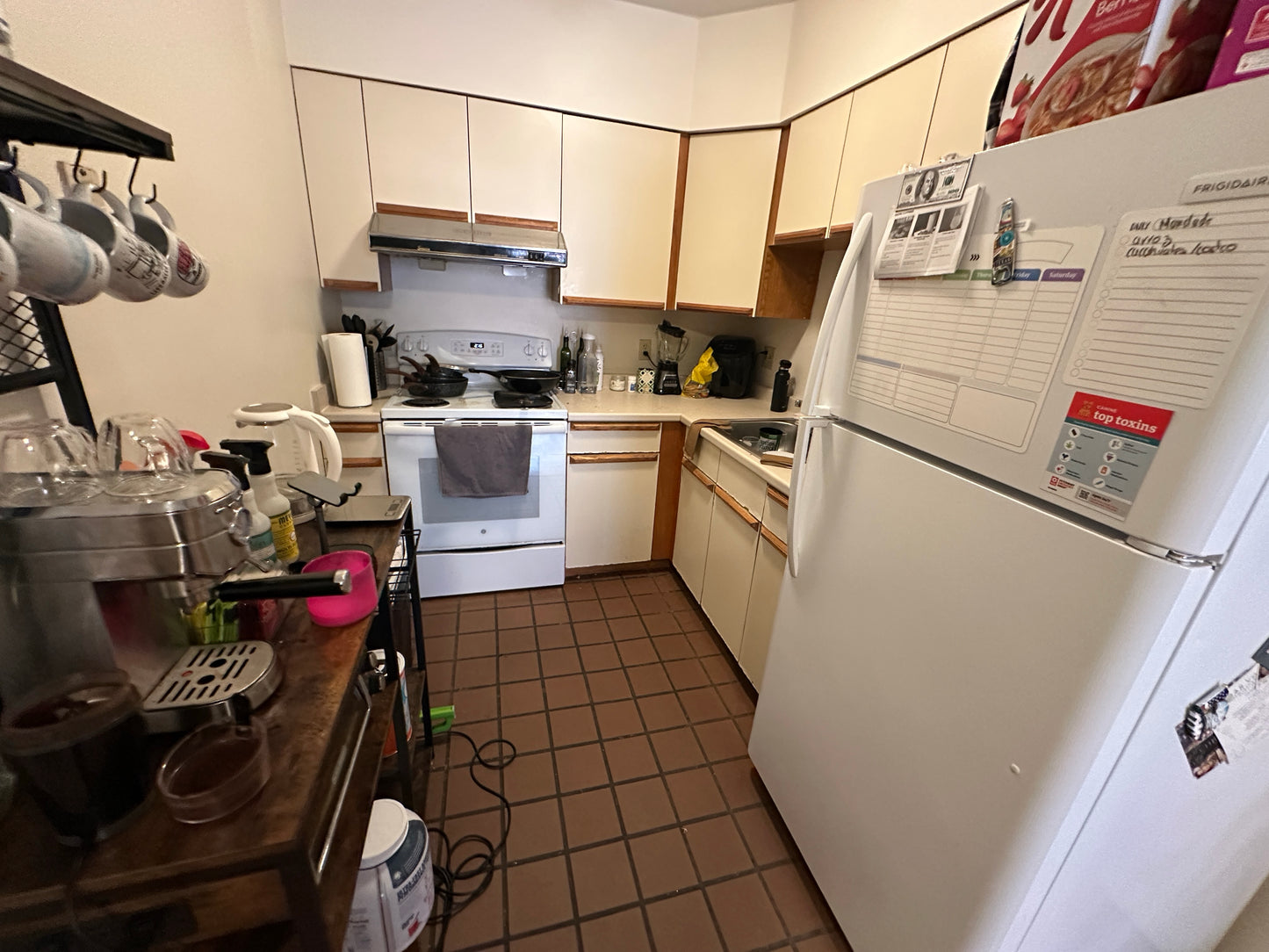 $2,500 / 1br - 539ft2 - ➽Bold Chinatown 1 Bedroom Available June! (Chinatown)