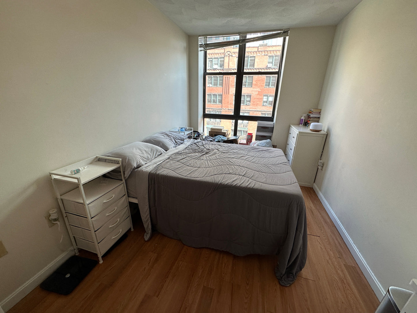 $2,500 / 1br - 539ft2 - ➽Bold Chinatown 1 Bedroom Available June! (Chinatown)