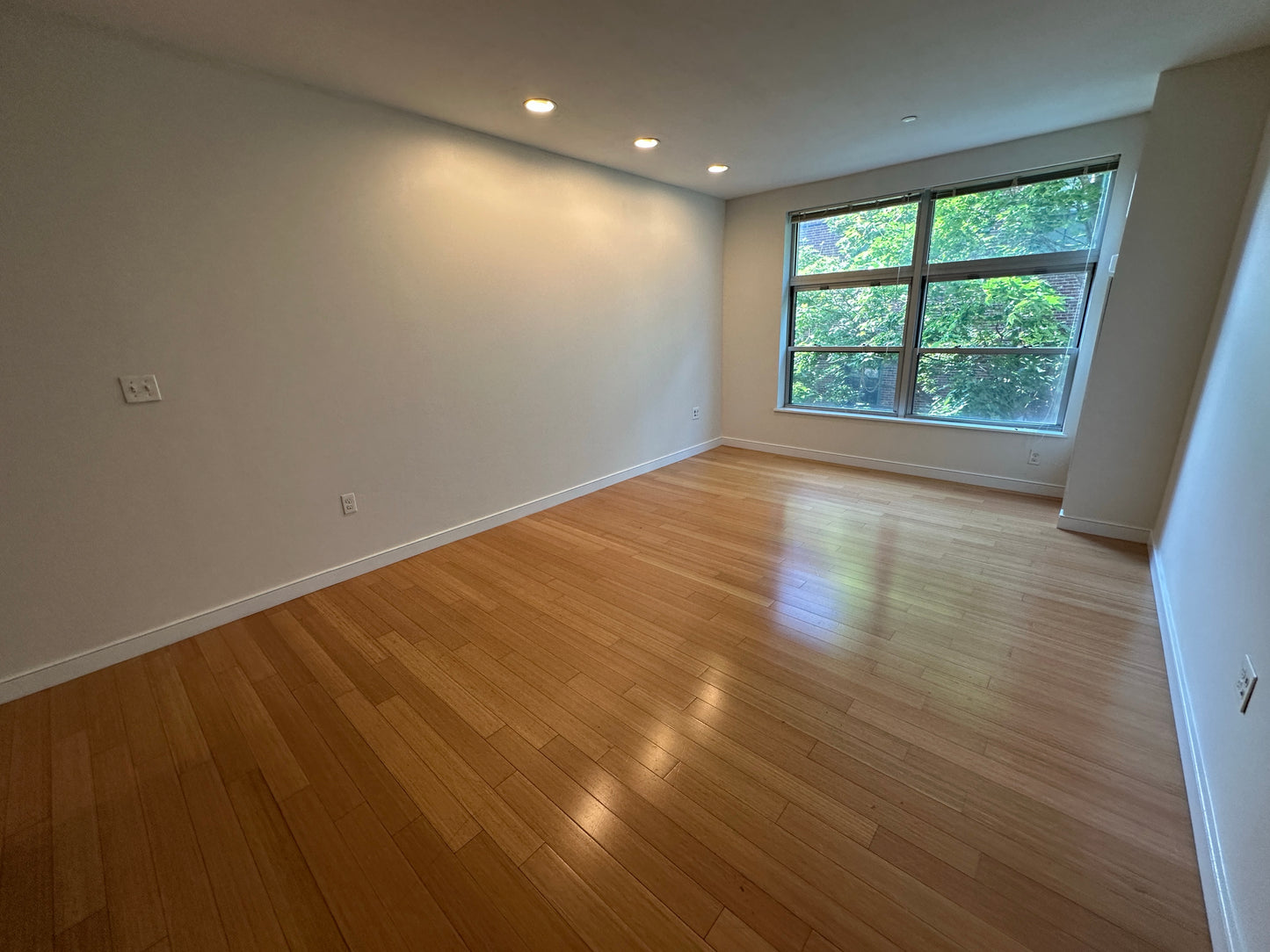 $3,400 / 1br - 744ft2 - ➽Tranquil South End 1 Bedroom Available September! Pet OK & No Fee! (South End)