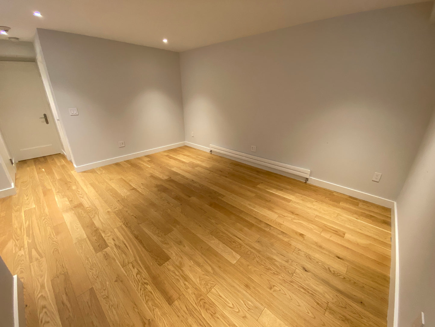 $2,700 / 1br - 400ft2 - ➽Cozy Brighton Basement 1 Bedroom Available June! (Brighton)