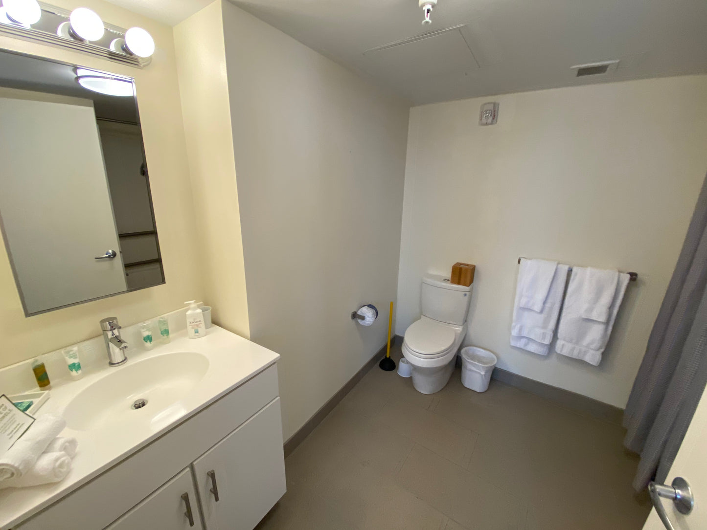 $2,800 / 368ft2 - ➽Chic Midtown Studio Available May! Pet-Friendly! (Midtown)