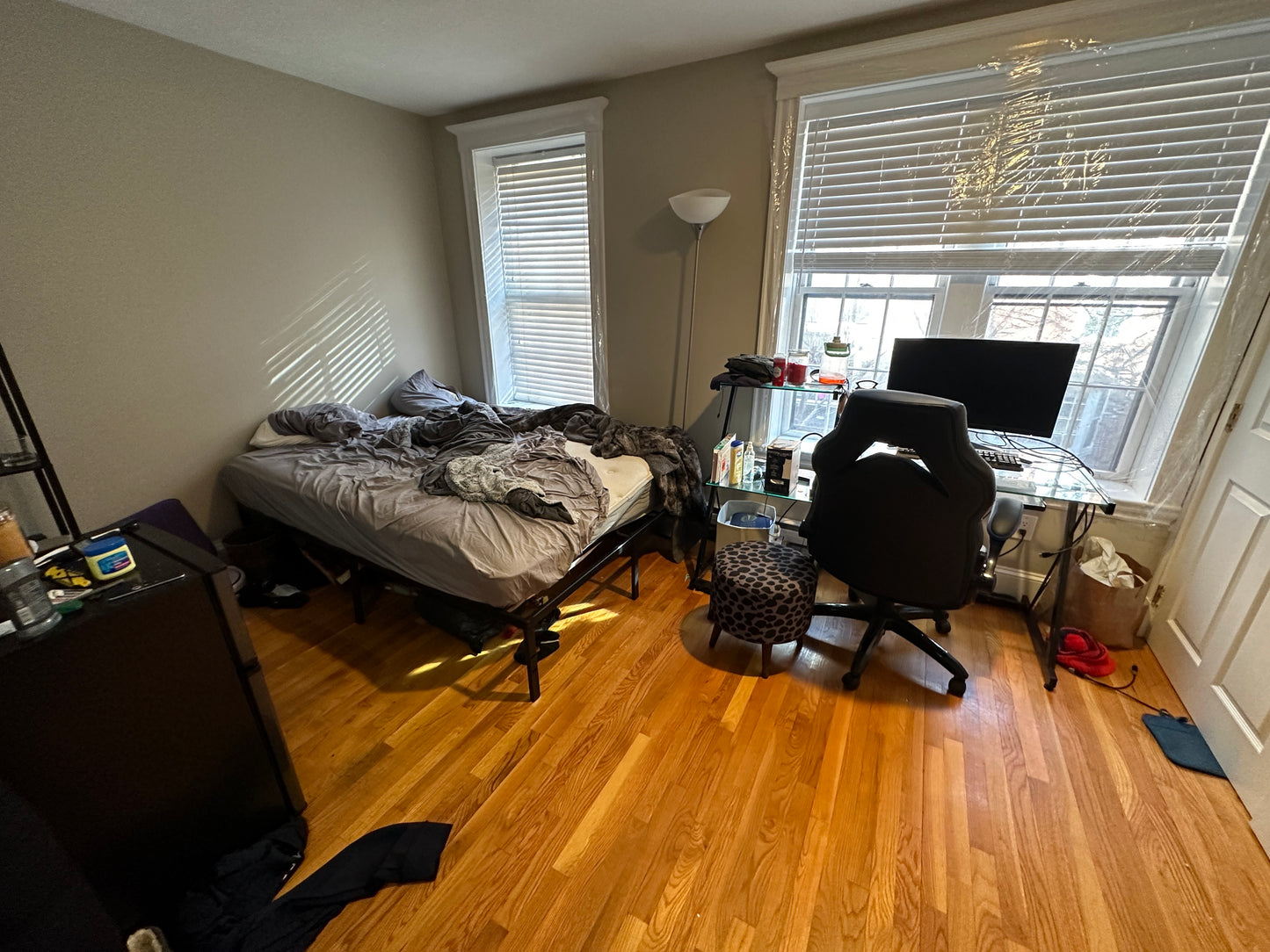 $2,600 ➽Comfy Beacon Hill Studio Available 9/1! (Beacon Hill)