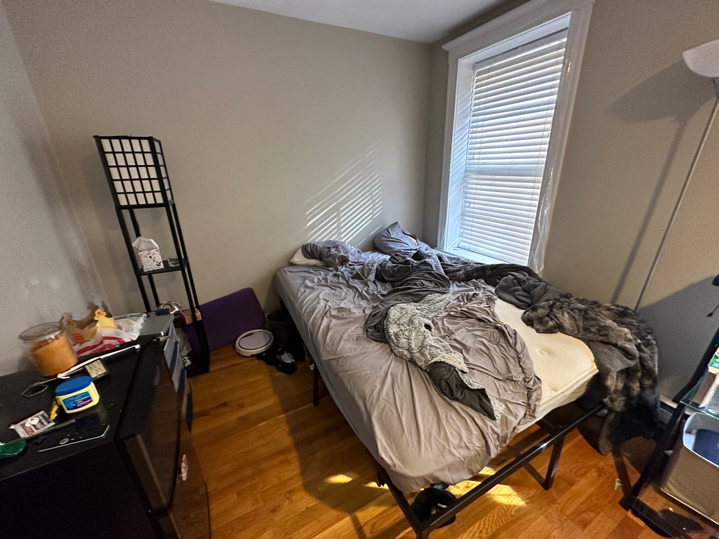 $2,600 ➽Comfy Beacon Hill Studio Available 9/1! (Beacon Hill)