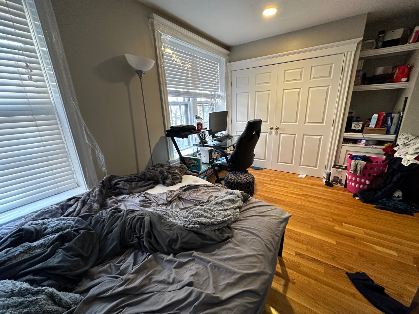 $2,600 ➽Comfy Beacon Hill Studio Available 9/1! (Beacon Hill)