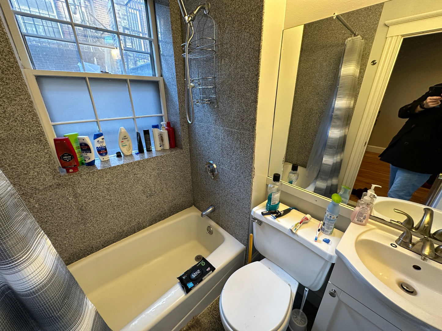 $2,600 ➽Comfy Beacon Hill Studio Available 9/1! (Beacon Hill)