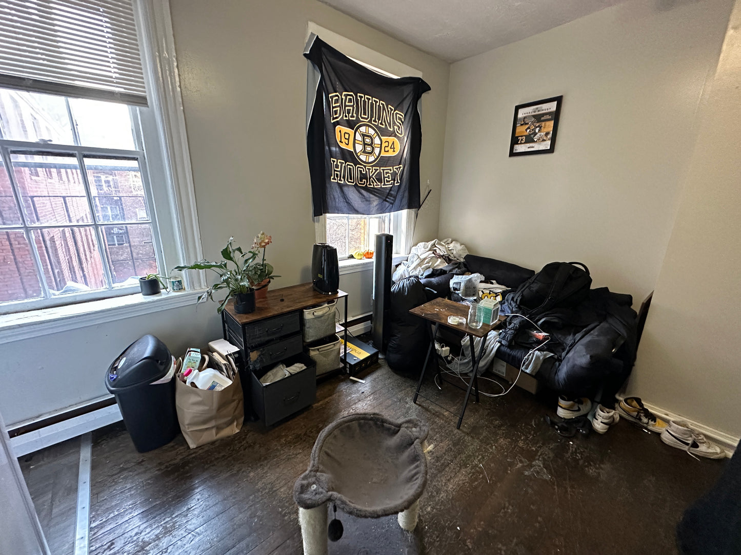 $2,350 ➽Comfy Beacon Hill Studio Available 6/1! HT & HW Included! (Beacon Hill)