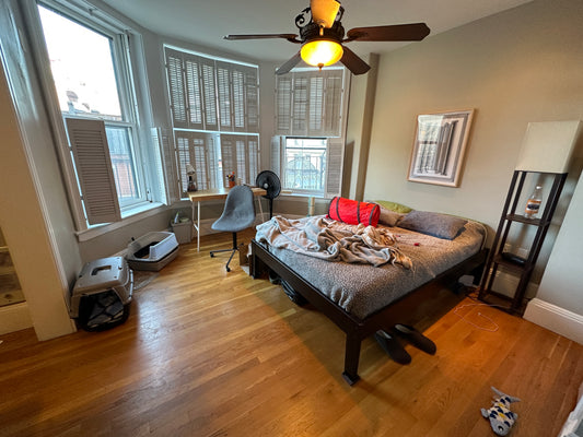 APPLICATION PENDING $2,600 ➽Cozy Back Bay Studio Available 9/1! (Back Bay)