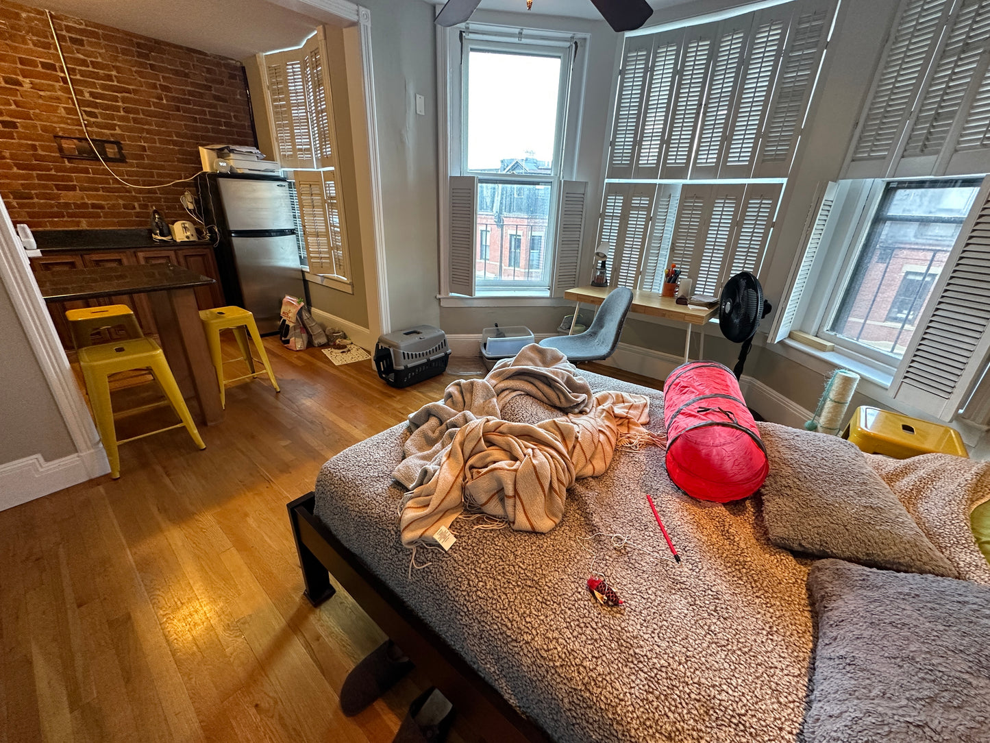 APPLICATION PENDING $2,600 ➽Cozy Back Bay Studio Available 9/1! (Back Bay)