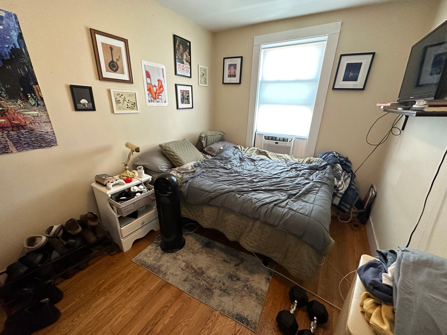 $4,200 / 3br - 932ft2 - ➽Beautiful South Boston 3 Bedroom Avail. 9/1! Pet-Friendly (South Boston)