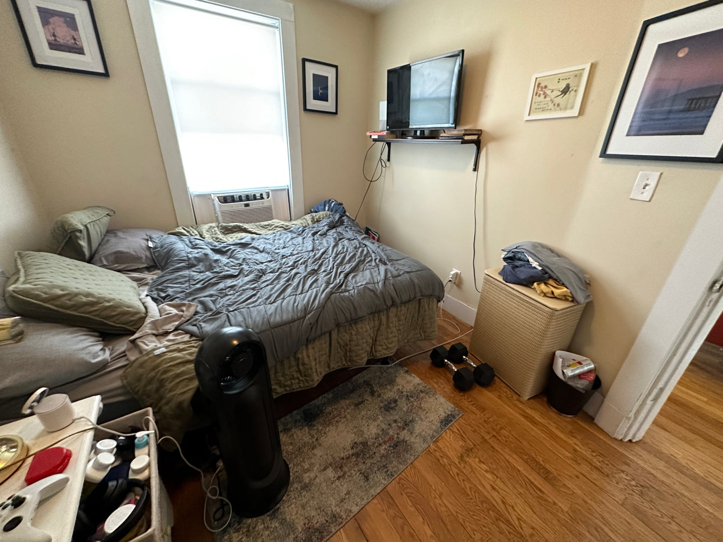 $4,200 / 3br - 932ft2 - ➽Beautiful South Boston 3 Bedroom Avail. 9/1! Pet-Friendly (South Boston)